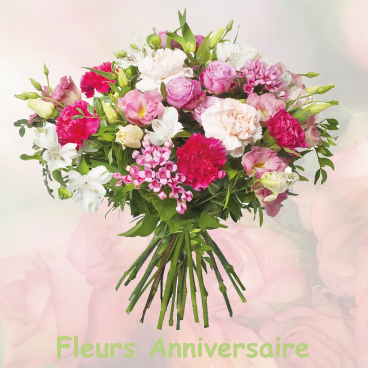 fleurs anniversaire VILLENEUVE-SUR-VERE